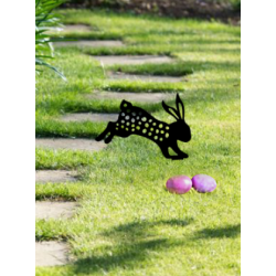 Lapin de jardin 1