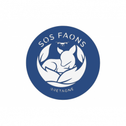 Mon fichier DXF - ref :...